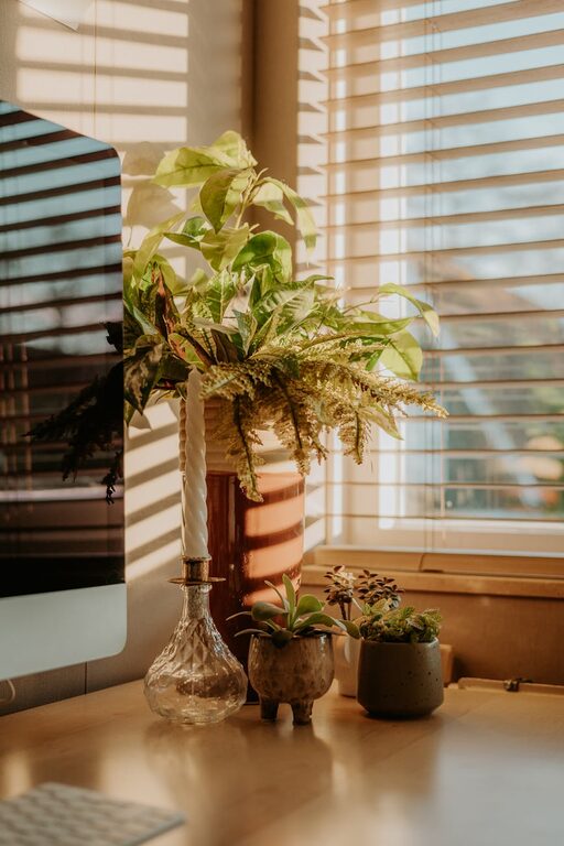 Tips for Creating a Cozy and Inviting Home Office Space